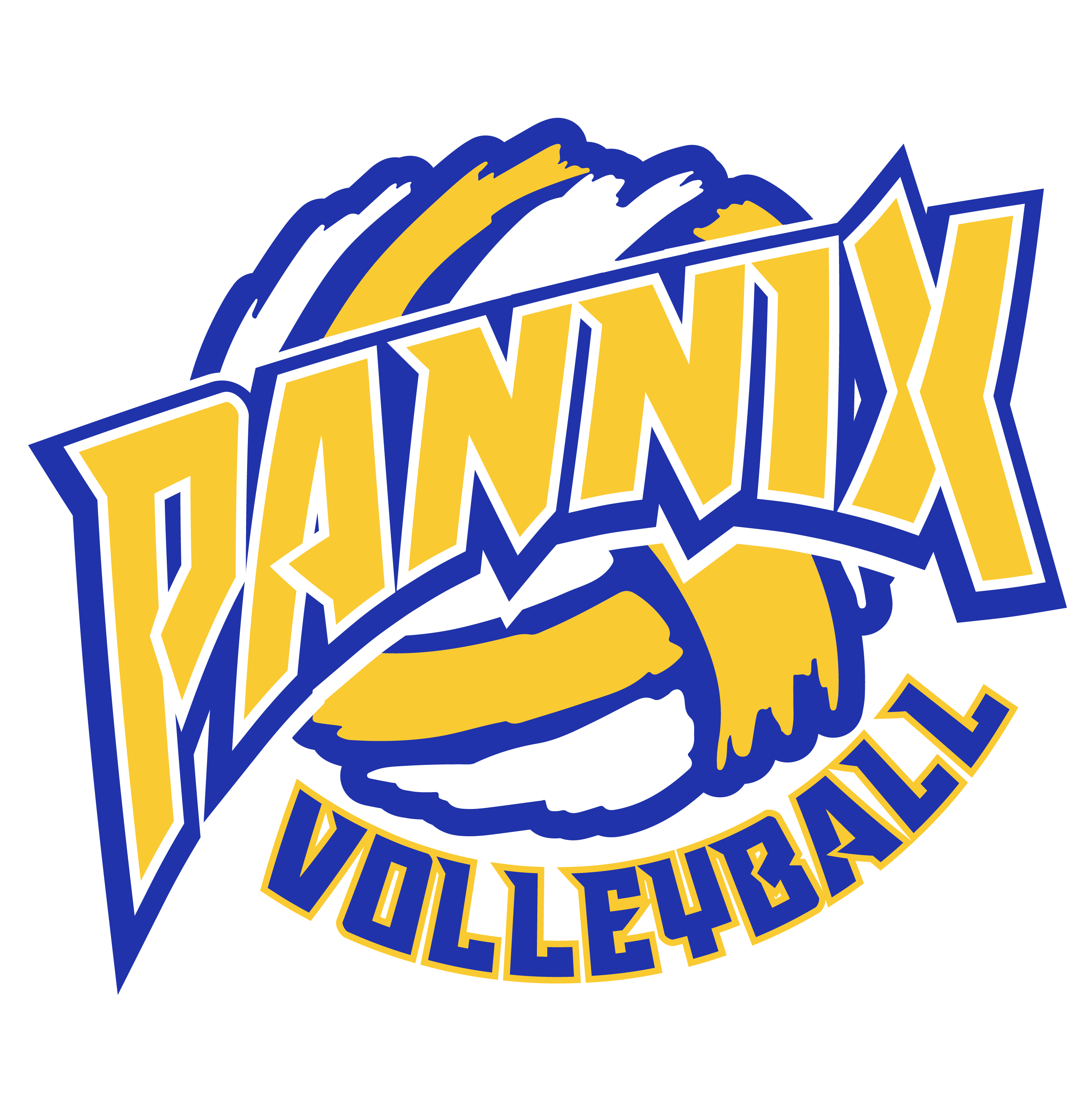 Pannix Volleyball Club